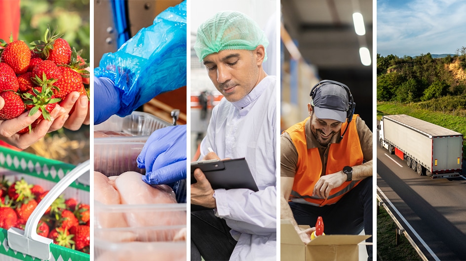 Formación en Alimentación 2025