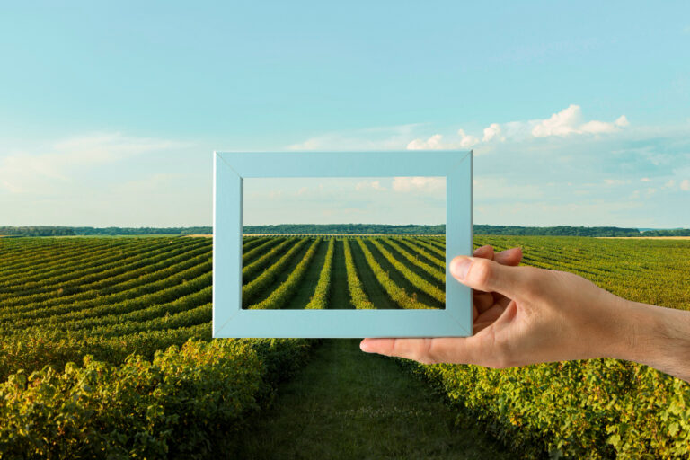 Lee más sobre el artículo Formación en Agrario 2025