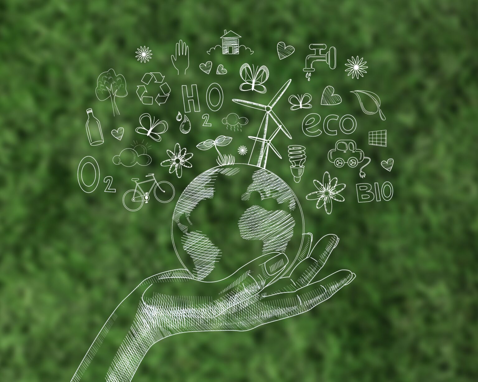 Formación en Medio Ambiente 2025