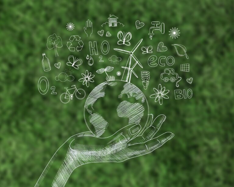 Lee más sobre el artículo Formación en Medio Ambiente 2025
